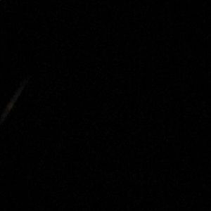 Meet your Posher, Trey